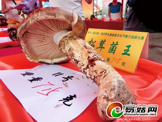 1d5b0bdc-4026-4650-81ea-69385a439380