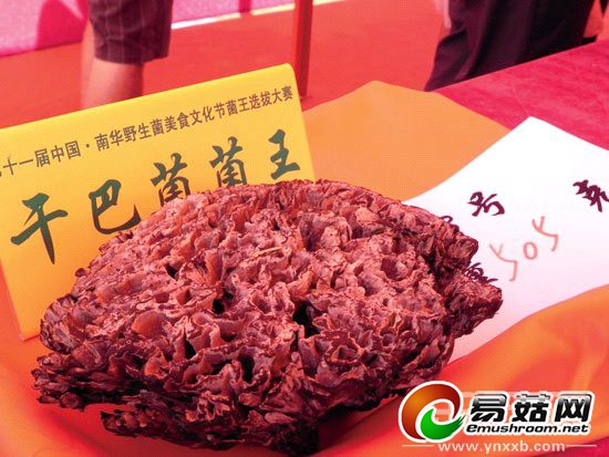 ff6a3b58-5655-48ce-a071-52b54ca30d89