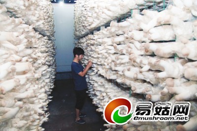 1112039123_14078116085151n