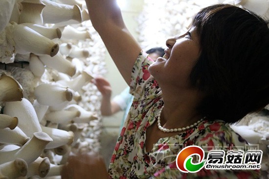 cms_34a0cd4b0624430991231ccd2a92dc13_0547_10_07_39