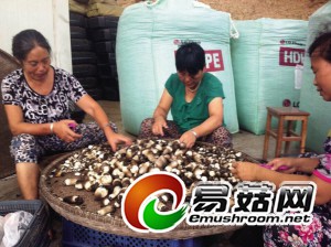 2014819_1408411142342