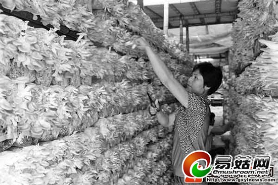 1112151546_14085021561911n