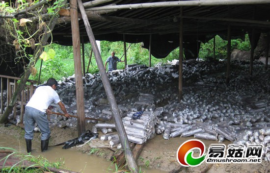 20140821091811_11378