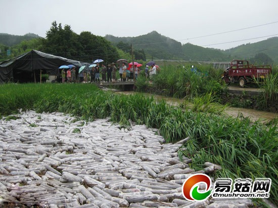 20140821091830_86849