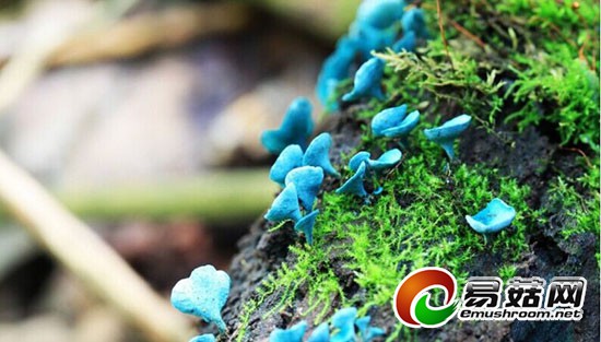 QQ图片20140821182847