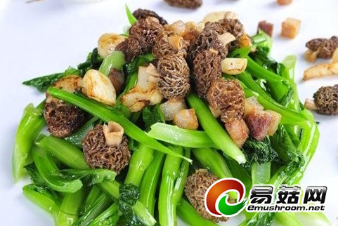 QQ截图20140825100704