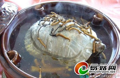 20140903000852_26394