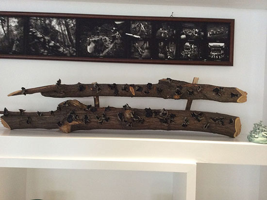 20140906090020_69773