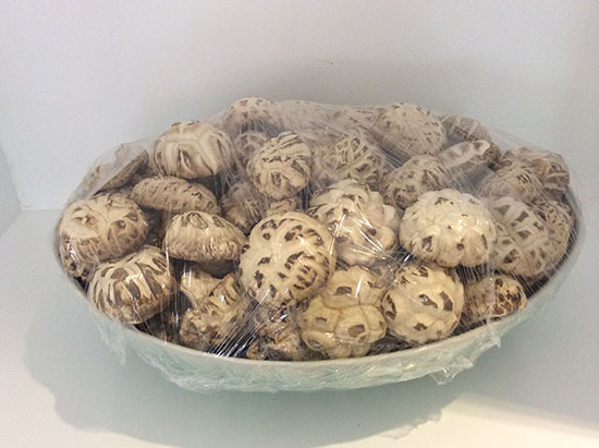 20140906090021_26257