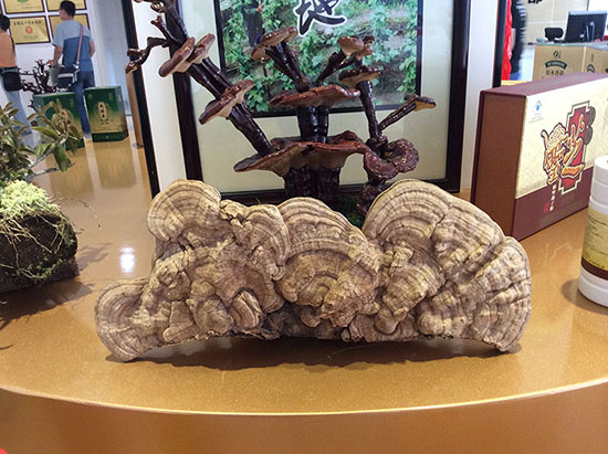 20140906090022_33102