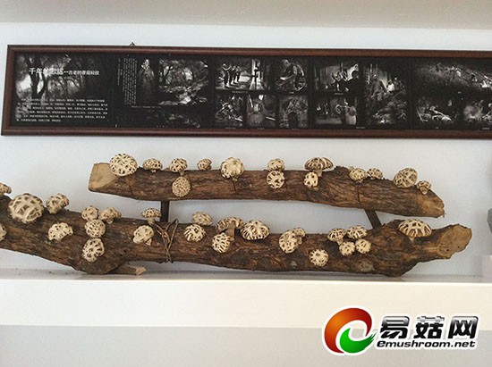 20140906090025_71531