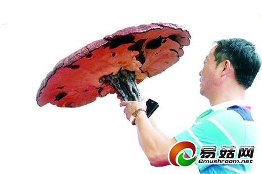 m_dsb20140916a03%20%20今日要闻_4