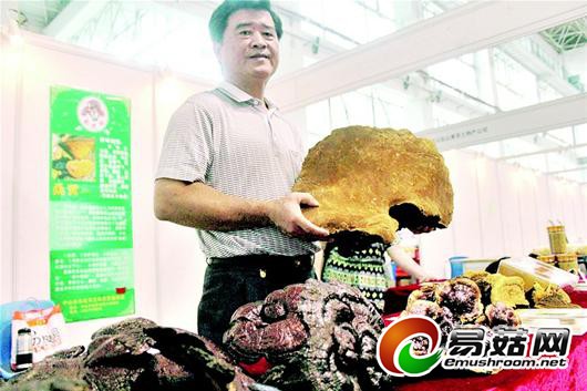 m_dsb20140916a03%20%20今日要闻_2