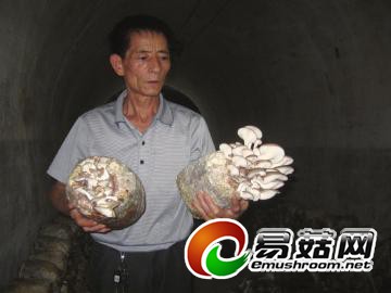 m_f5fd61737af08b7e1666da1e039cadd0