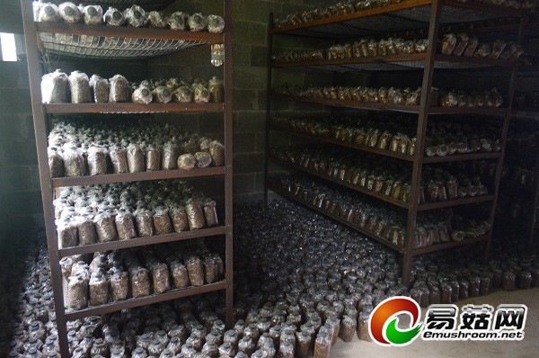 1112500652_14108450301301n