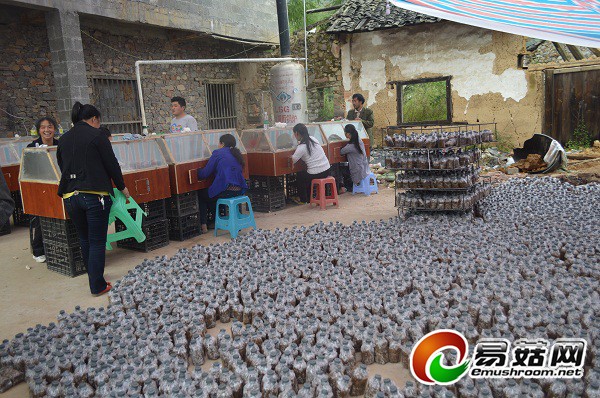 1112500652_14108450401141n