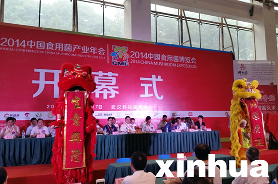 1112519604_14109407769151n