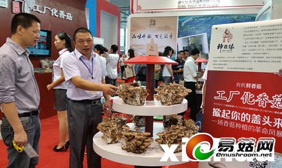 1112519604_14109407768681n