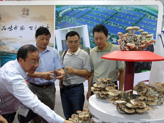 省委办公厅副主任余大桥参观展览