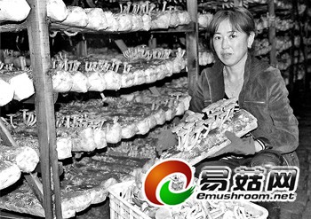 100093720_000000000838e348