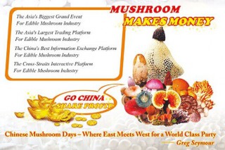 我的平台我做主 开放的舞台因您而更精彩——中国蘑菇节组委会致中国Manbetx体育手机版推荐A9版本产业同仁的公开信