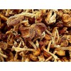 长期大量收购榆黄蘑干品