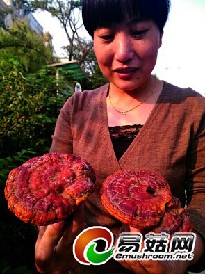 98e9e46e-8ed9-4136-af59-3654a1d5e651