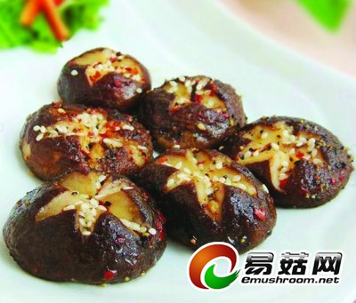 ff59ccd9-d41a-448b-80d6-327f53eb67cd