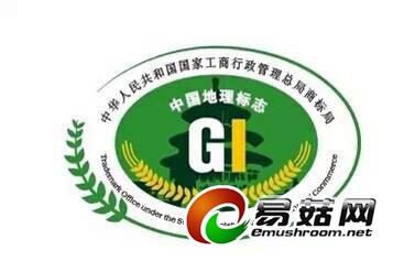 QQ图片20141008003724