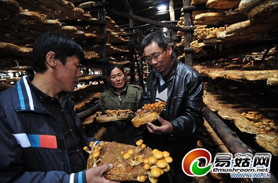 QQ截图20141015084950