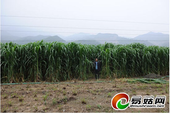 2014101517162331f2c_550