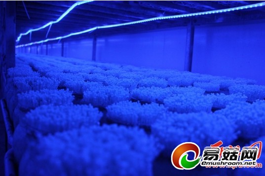 QQ截图20141017085315