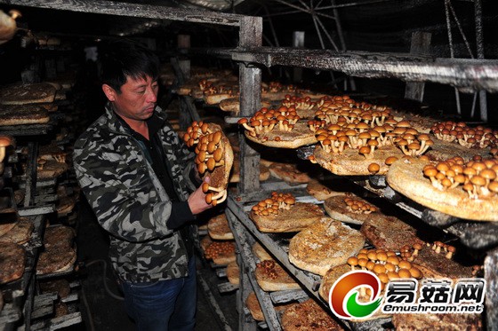 133732076_14138730422811n