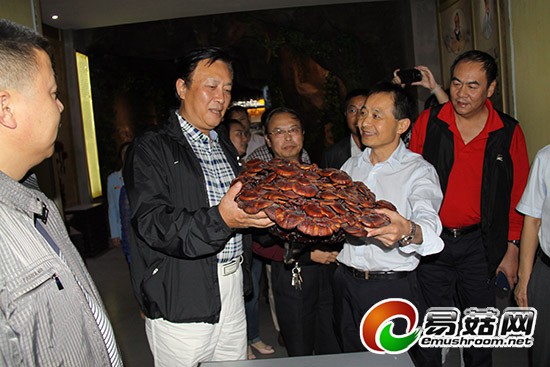 4、唐国强先生与潘总手抬大灵芝合影