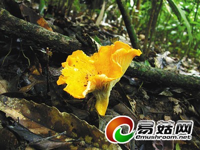 623170_hnrbtp1_1414311819666_b