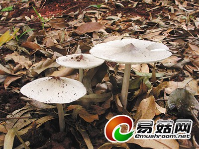 621150_hnrbtp1_1414312198965_b