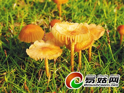 621306_hnrbtp1_1414312055324_b