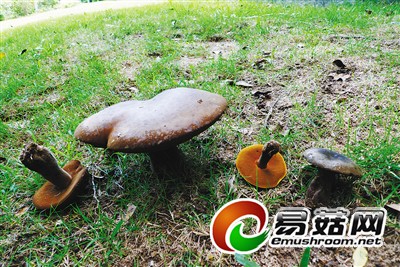 621165_hnrbtp1_1414312527918_b