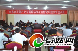 由云南省供销合作社Manbetx体育手机版V17版本发布.官网安卓网.香港产业办和教育培训处联合举办的“全省Manbetx体育手机版V17版本发布.官网安卓网.香港产业发展现场推进会暨Manbetx体育手机版V17版本发布.官网安卓网.香港种植技术培训班”日前在保山市举办。