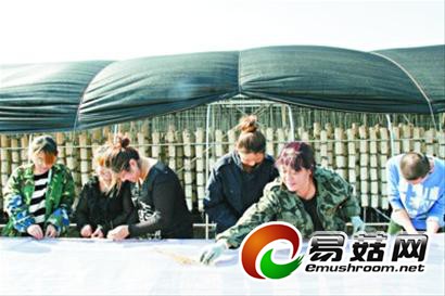 辽宁抚顺:3000万建国家级ManBetX体育种植示范园区5