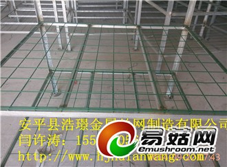 Manbetx体育手机版推荐A9版本菇架