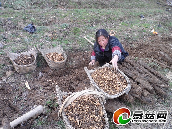 3_20141014171004_awp9j