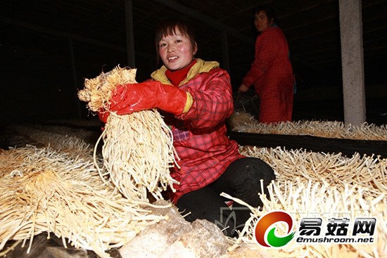 cms_de5e1b1a525d49bdb929c301b4c7ed0a_0799_15_54_49