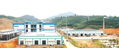 顺昌:海鲜菇产业发展壮大 龙头引领天地宽