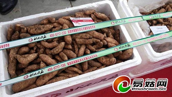 QQ图片20141110174903