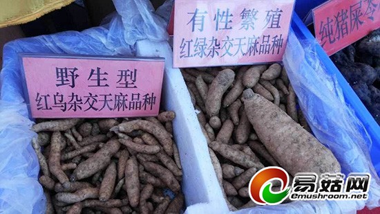 QQ图片20141110174907