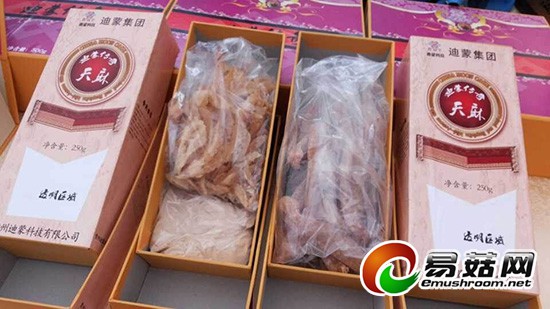 QQ图片20141110174917