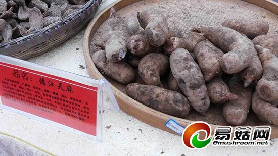 QQ图片20141110174920