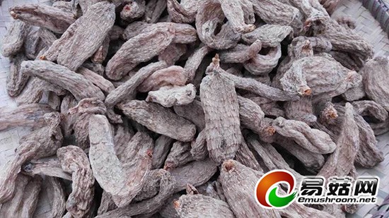 QQ图片20141110174924