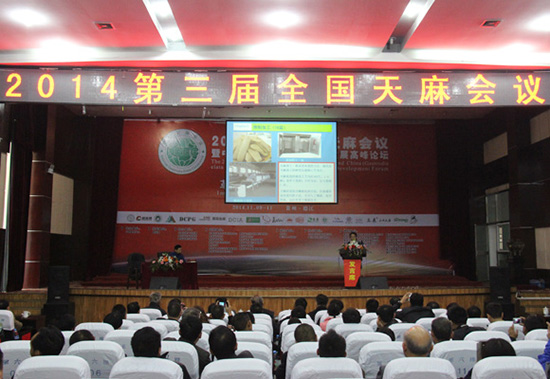 8_20141110161130_686by